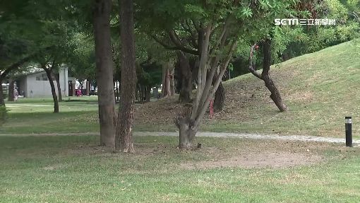 高手在民間！老外公園「極限走繩」 絕佳平衡感民驚呆 三立新聞網 新聞發布