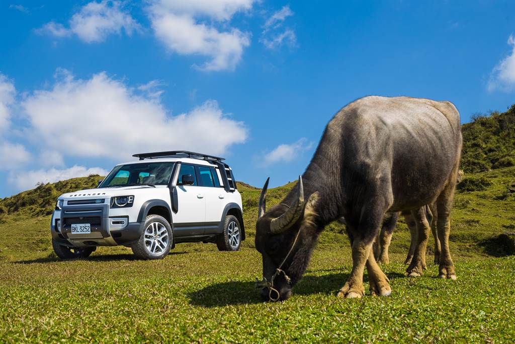 不管在越野還是公路，Land Rover Defender一樣強悍。（陳彥文攝）